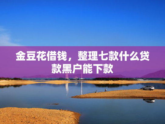 金豆花借钱，整理七款什么贷款黑户能下款