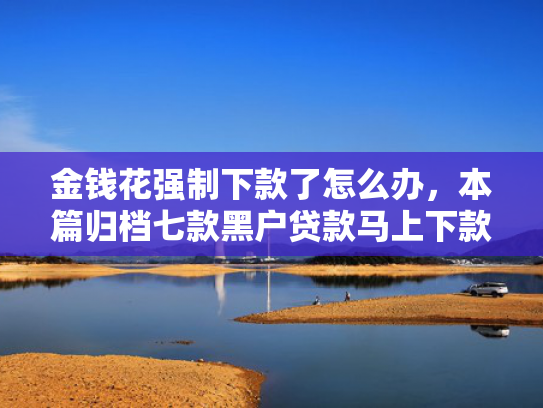 金钱花强制下款了怎么办，本篇归档七款黑户贷款马上下款  第1张