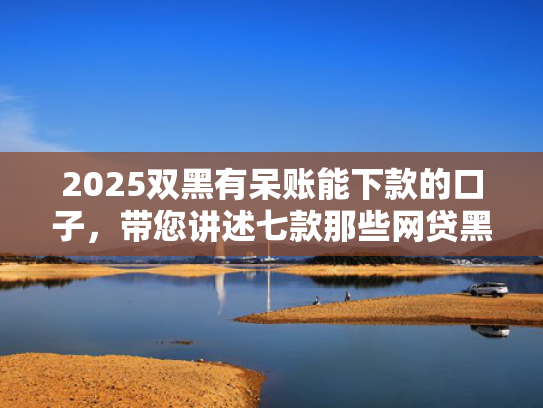 2025双黑有呆账能下款的口子，带您讲述七款那些网贷黑口子好下款