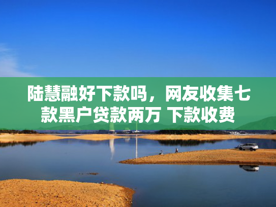 陆慧融好下款吗，网友收集七款黑户贷款两万 下款收费