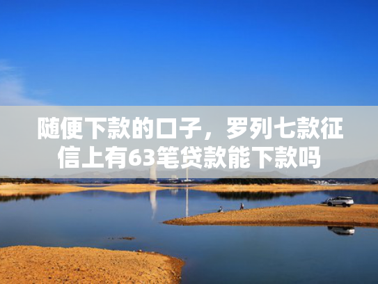随便下款的口子，罗列七款征信上有63笔贷款能下款吗