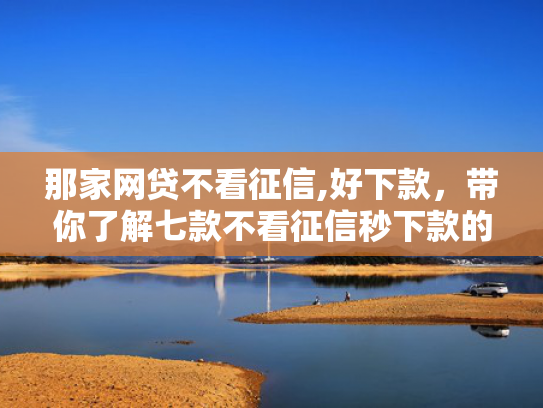 那家网贷不看征信,好下款，带你了解七款不看征信秒下款的网贷6