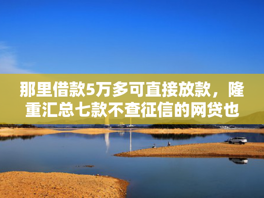 那里借款5万多可直接放款，隆重汇总七款不查征信的网贷也不下款