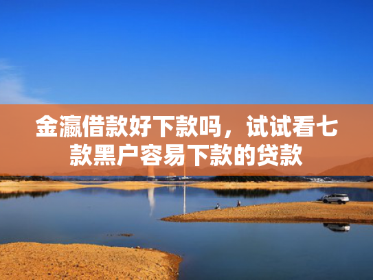 金瀛借款好下款吗，试试看七款黑户容易下款的贷款  第1张