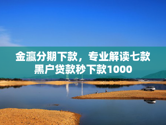 金瀛分期下款，专业解读七款黑户贷款秒下款1000