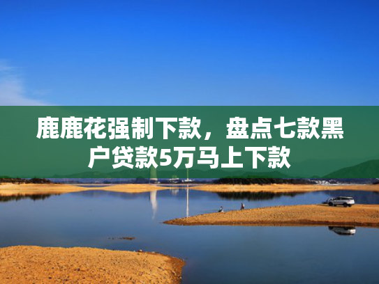 鹿鹿花强制下款，盘点七款黑户贷款5万马上下款  第1张