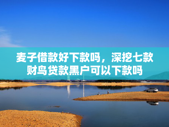 麦子借款好下款吗，深挖七款财鸟贷款黑户可以下款吗  第1张