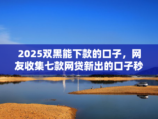 2025双黑能下款的口子，网友收集七款网贷新出的口子秒下款