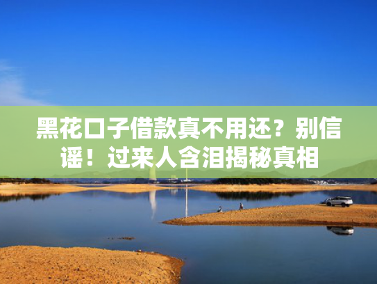 app新口子贷总结5个哪个网贷下款率高