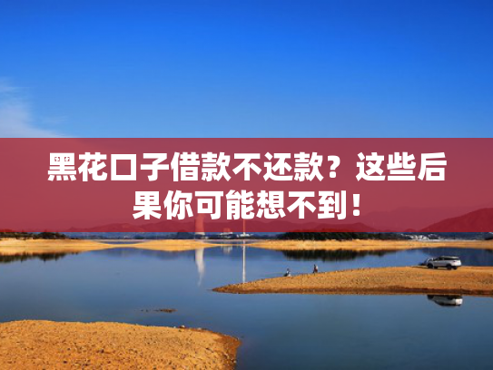比信用飞更好下款的口子这5款哪些贷款软件好下款