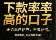 这些正规平台不看负债也能借到款